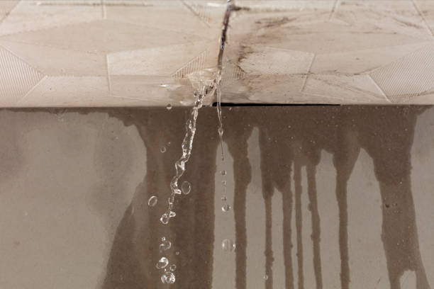 Professional Structural Drying technician working in Rock Creek, AL